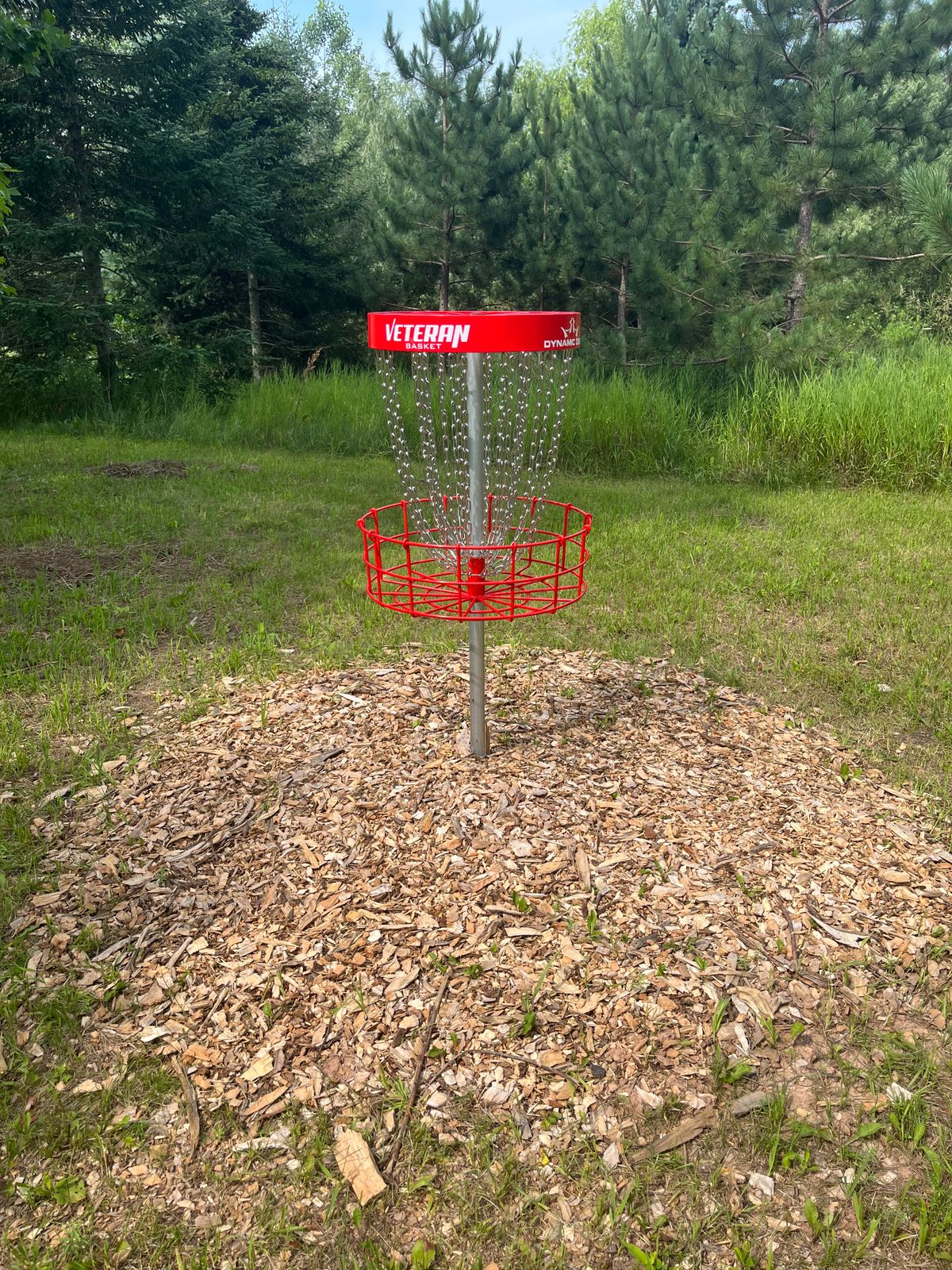 Hole #5 Basket