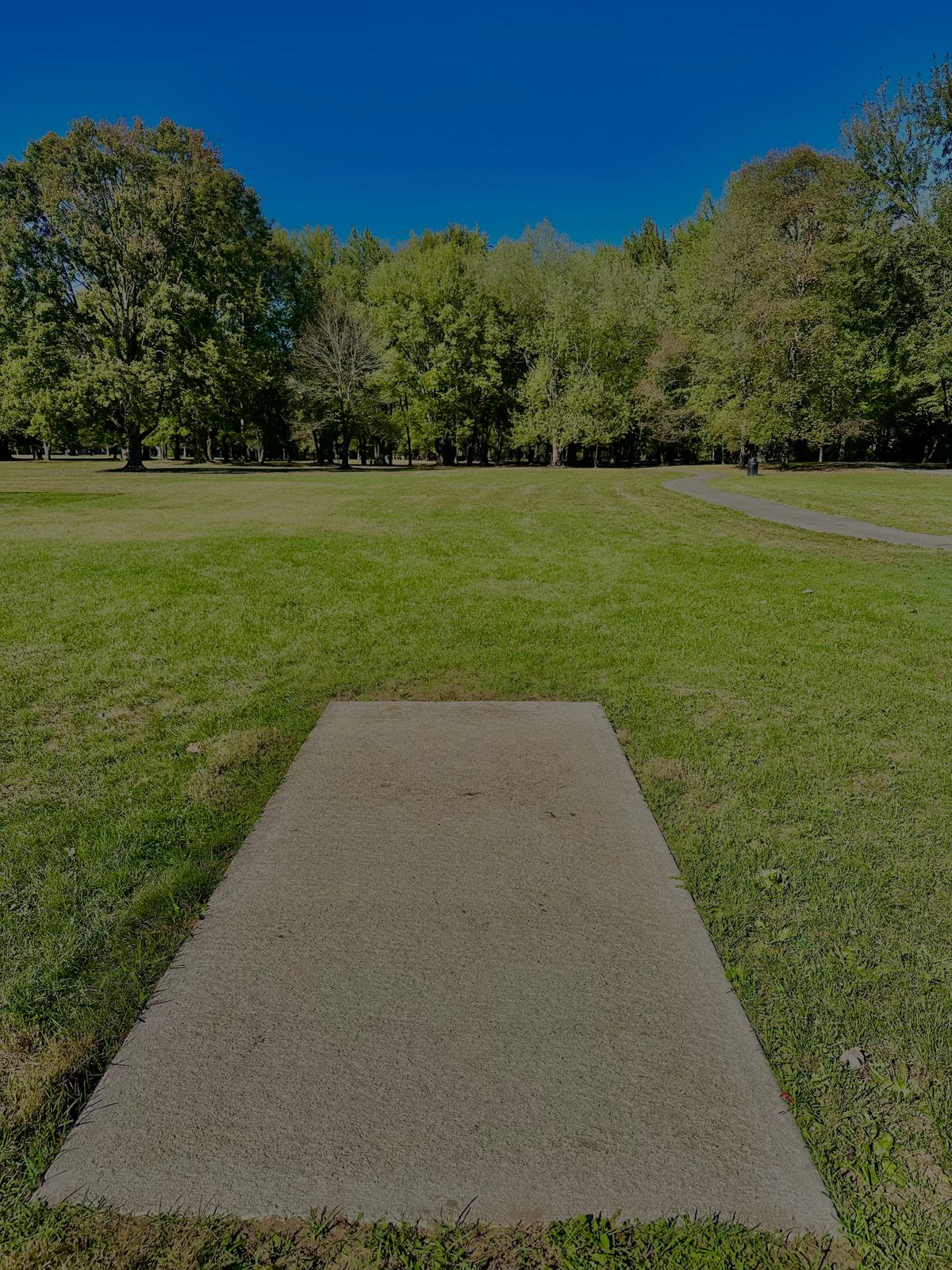 Tee Pad Hole 7