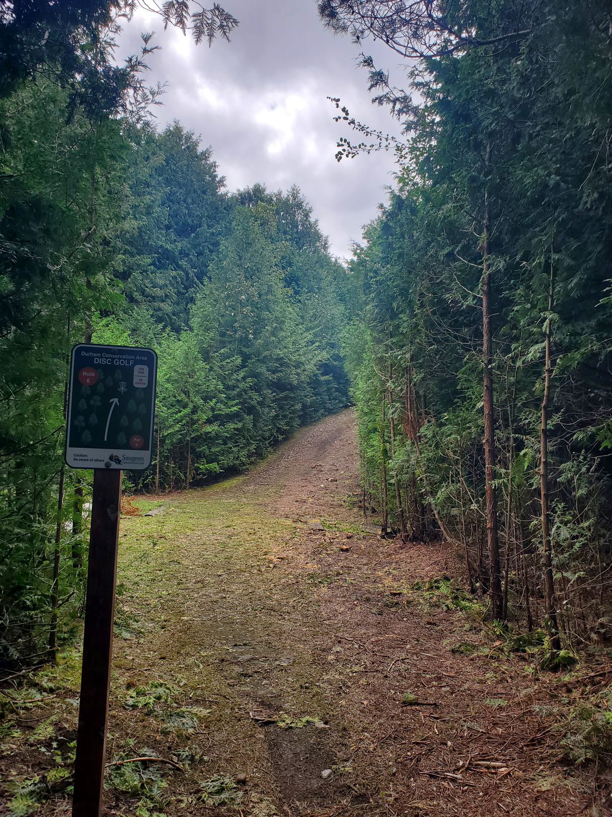 Hole 6