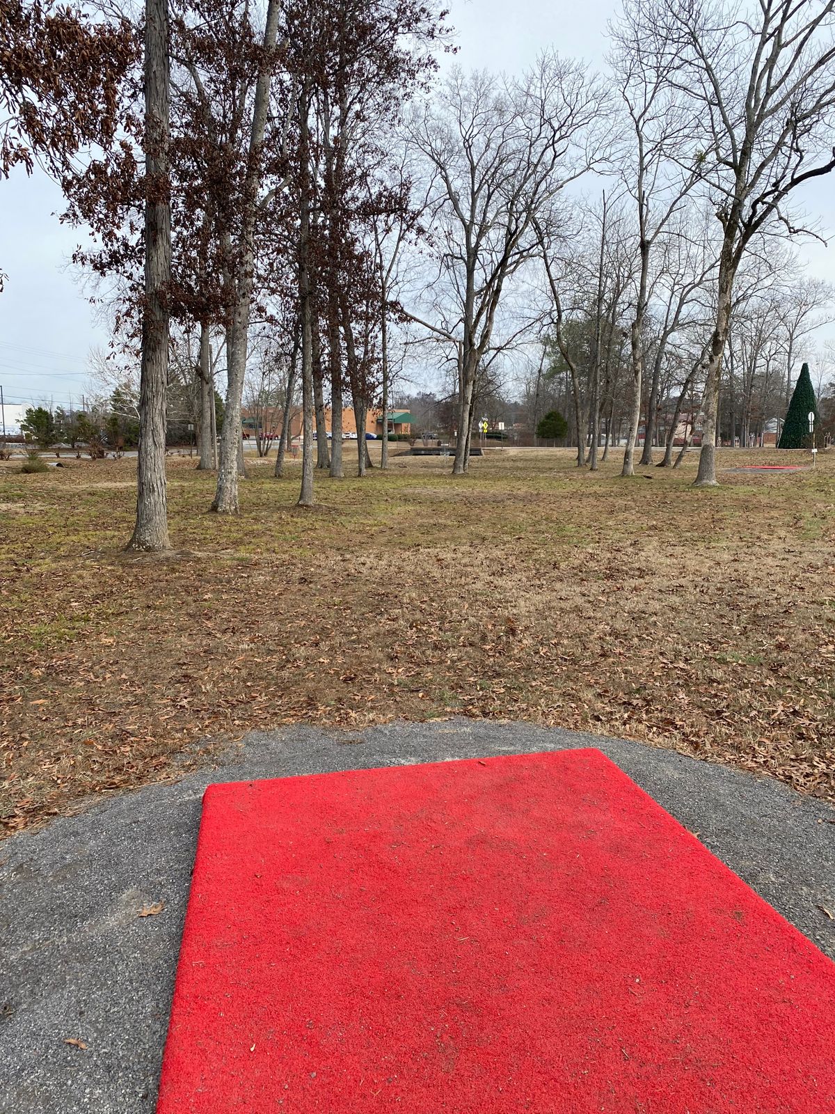 Hole 8 Tee