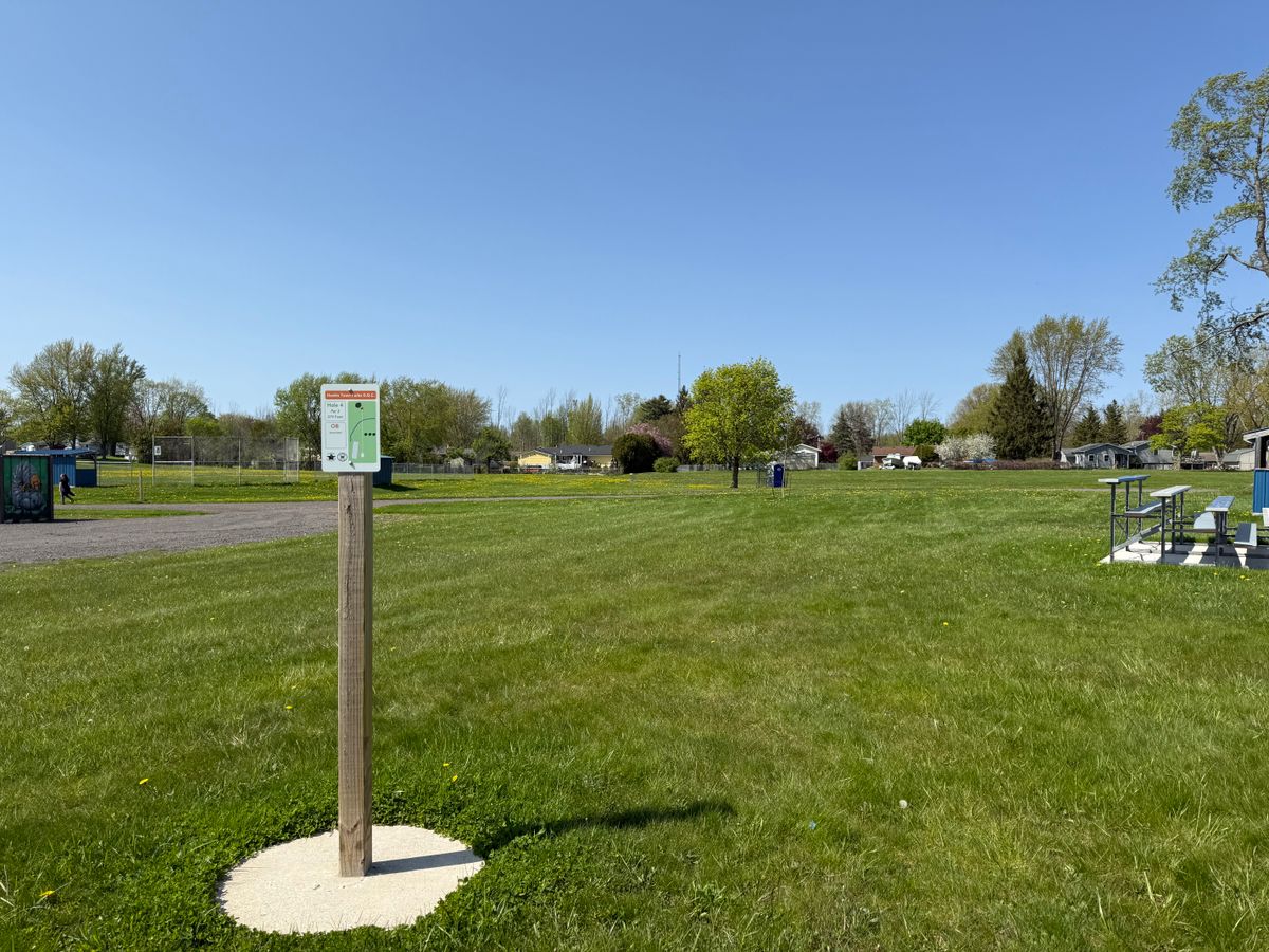 Hole 4 Tee