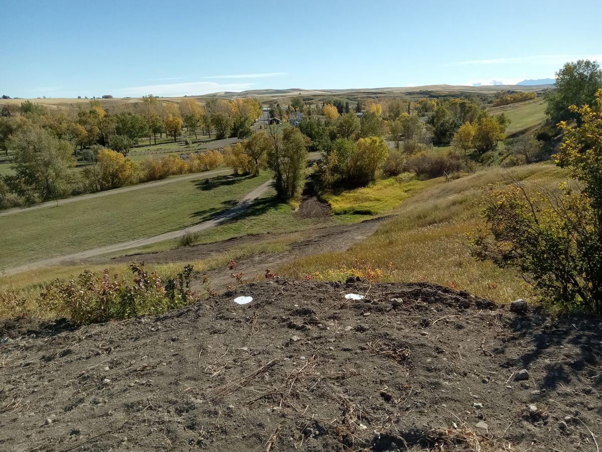 White tees of hole 3. Beware the tall grass short right of the green.
