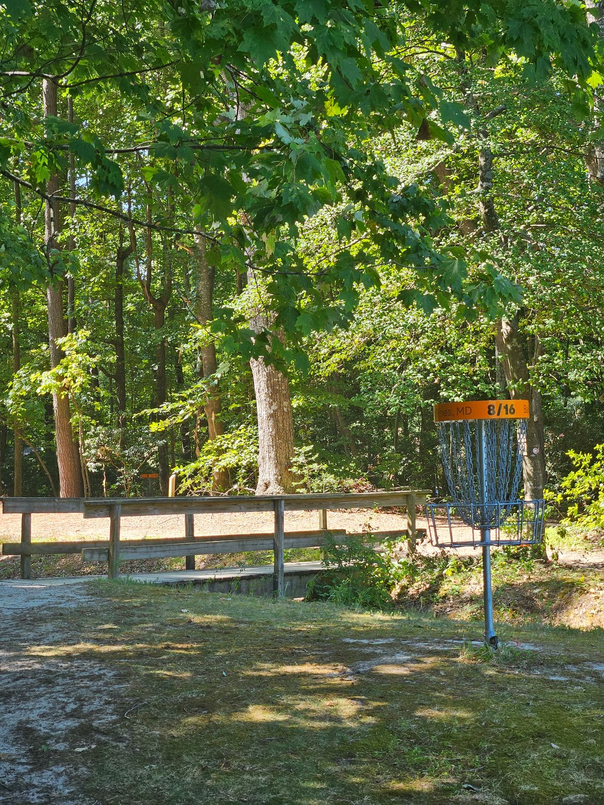 Shared green of 8 and 16 from the perspective of 16. Hole 9 basket visible in the background.