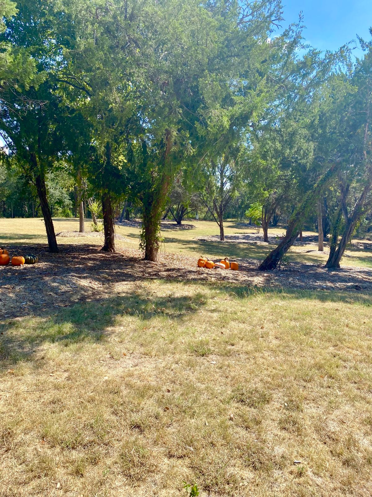 Drive to basket 4. This is a fun basket to play and one of the farthest drives.