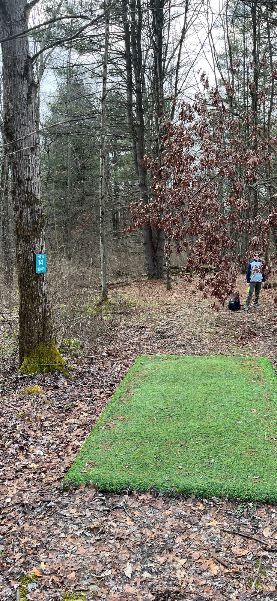 Tree blocking tee box from fairway on 14