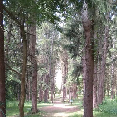 Such a beautiful disc golf course
