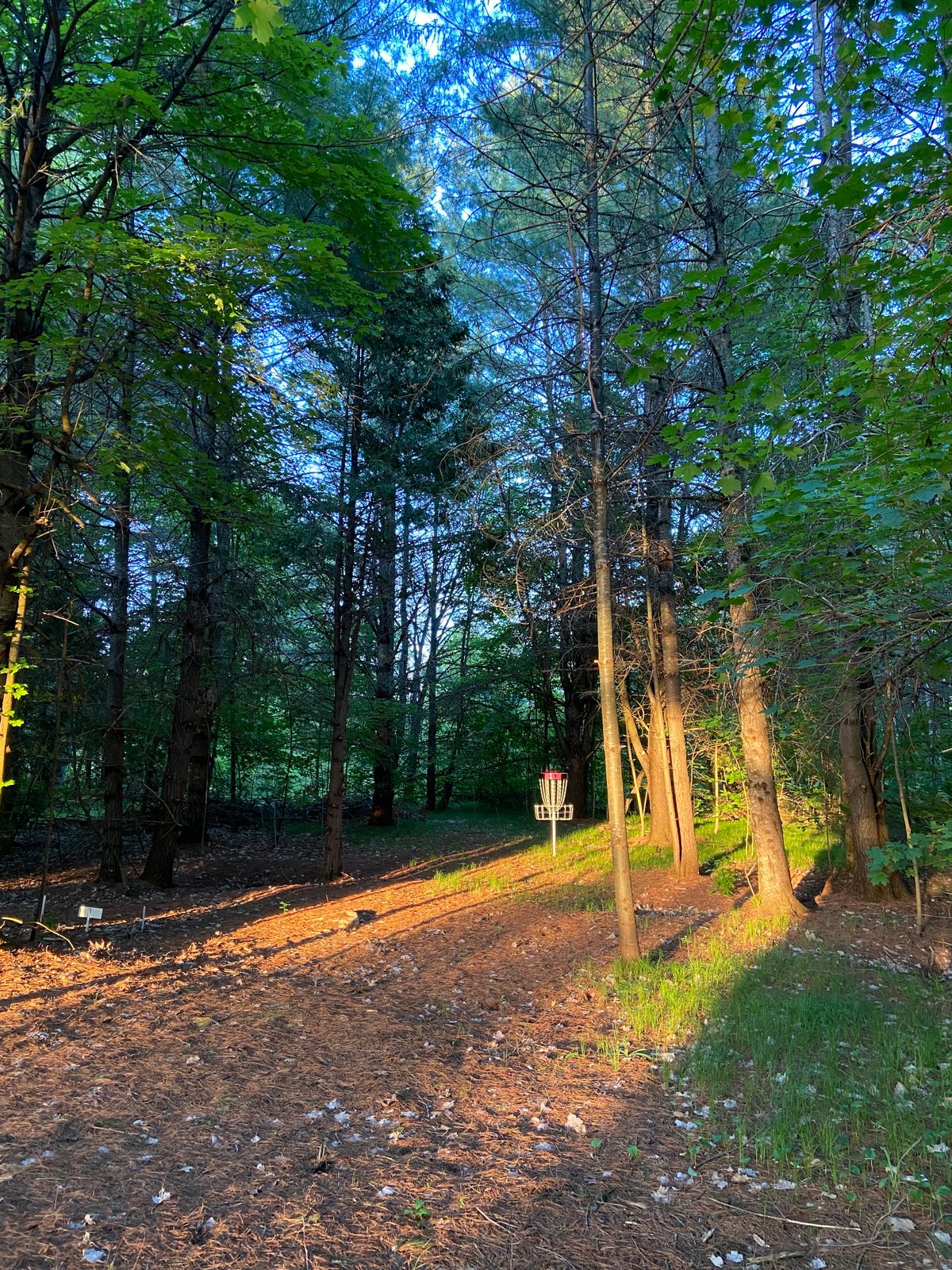 Hole 9 spotlighted