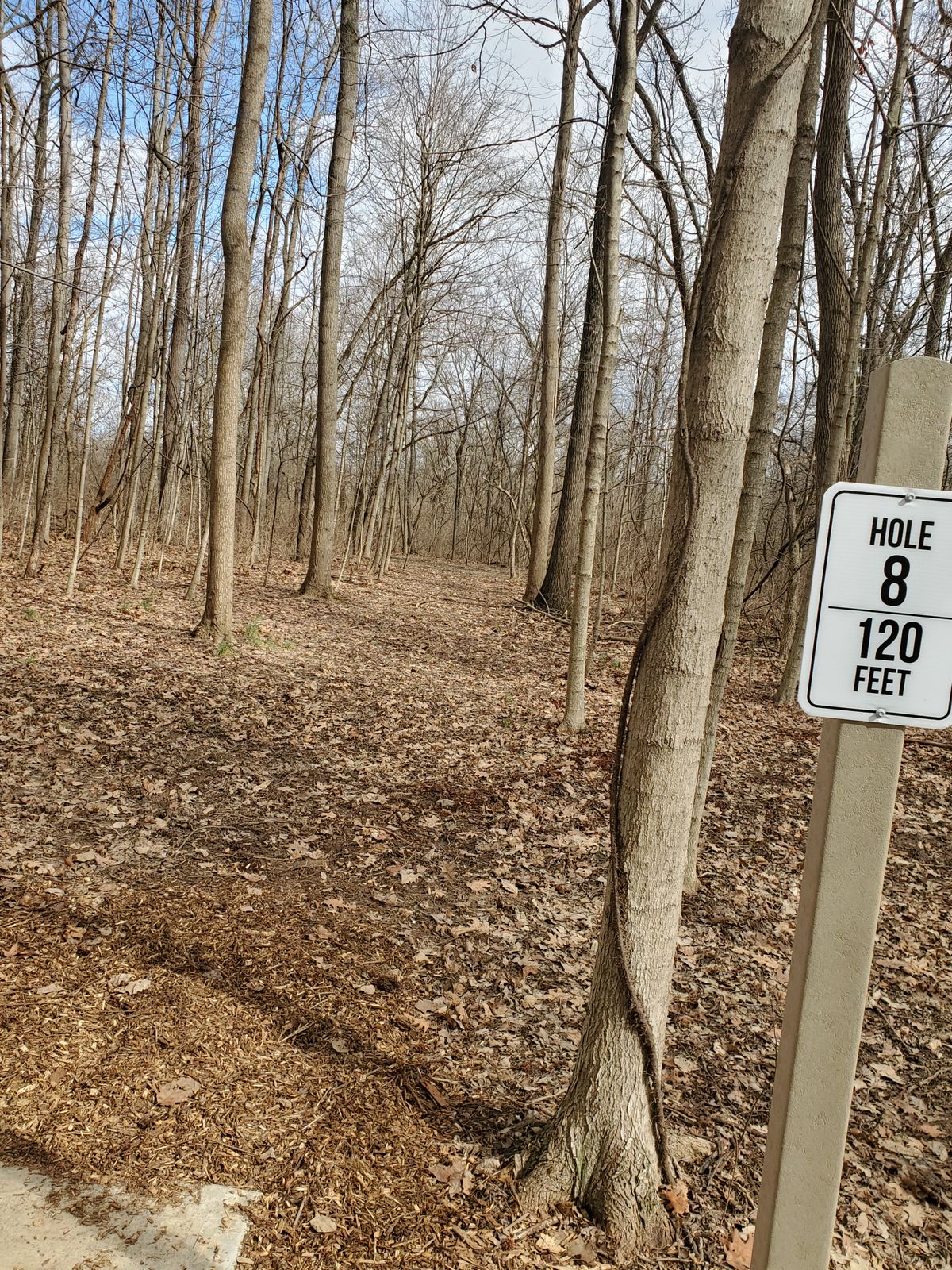 Hole 8 120ft
