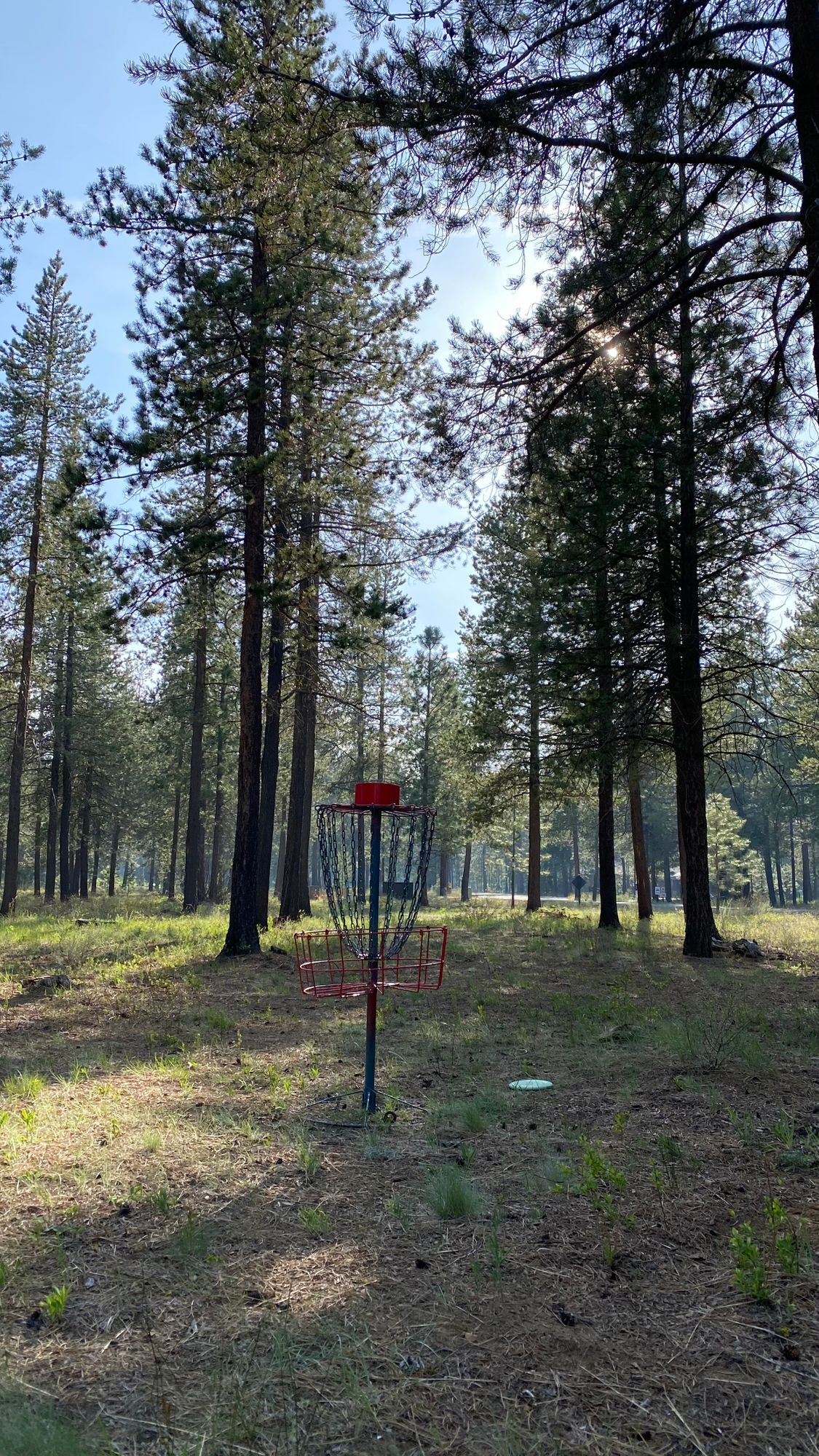 Hole 8 & 9 share a basket