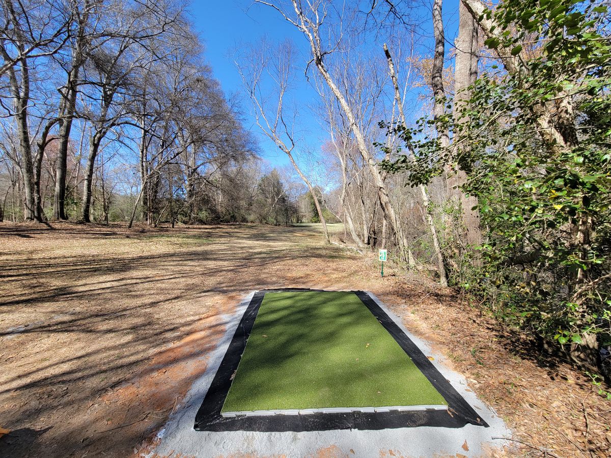 #4 - water on the right. Trees leaning into the fairway will redirect into the water.
