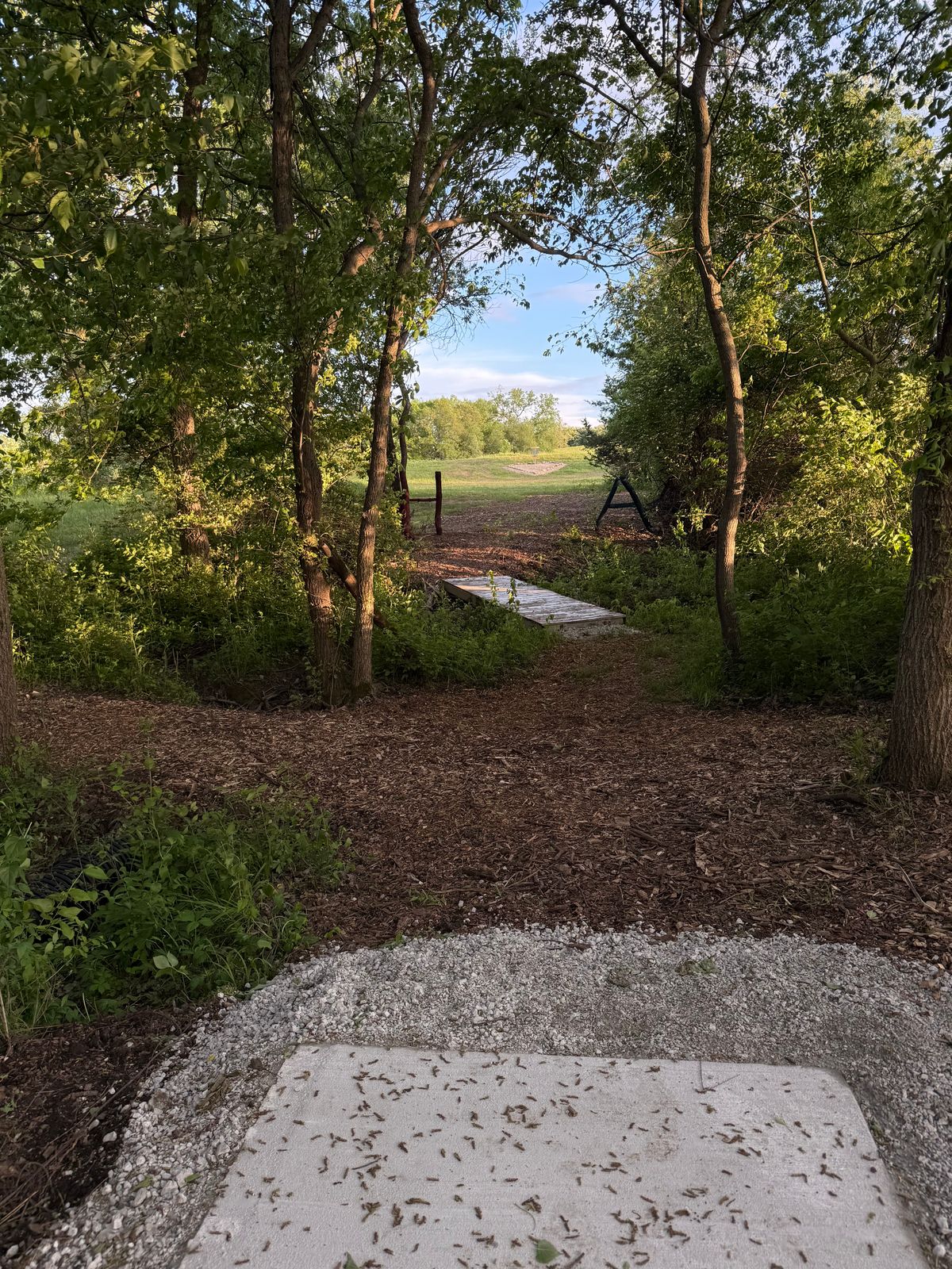 Hole 4 Rocky Road pro tee