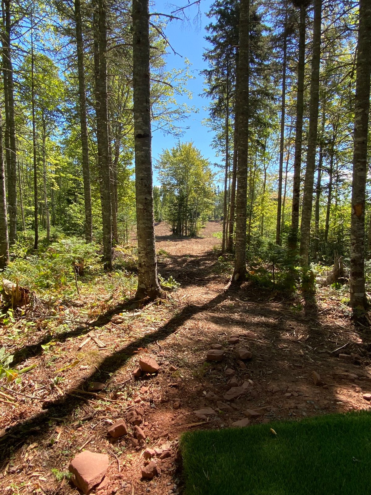 The tee of hole 4.