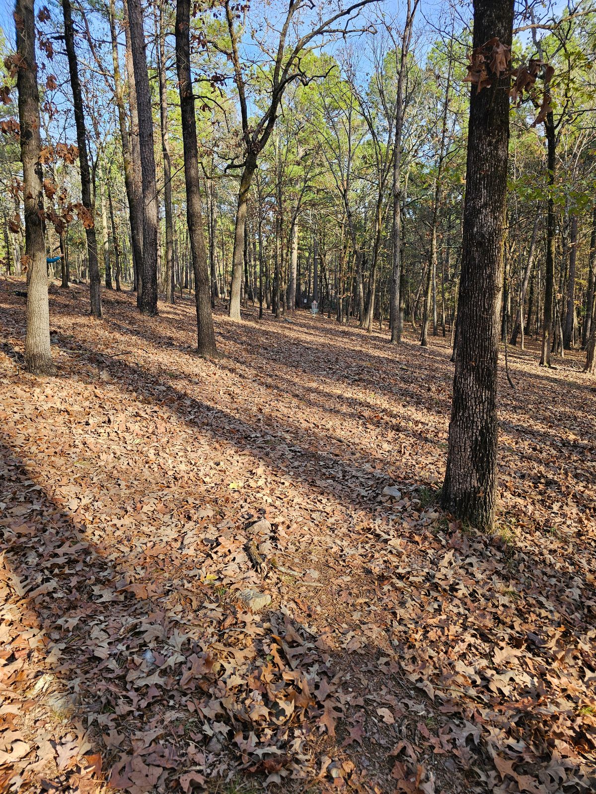 Hole 12