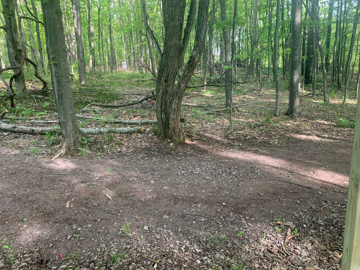 View from 8 tee.