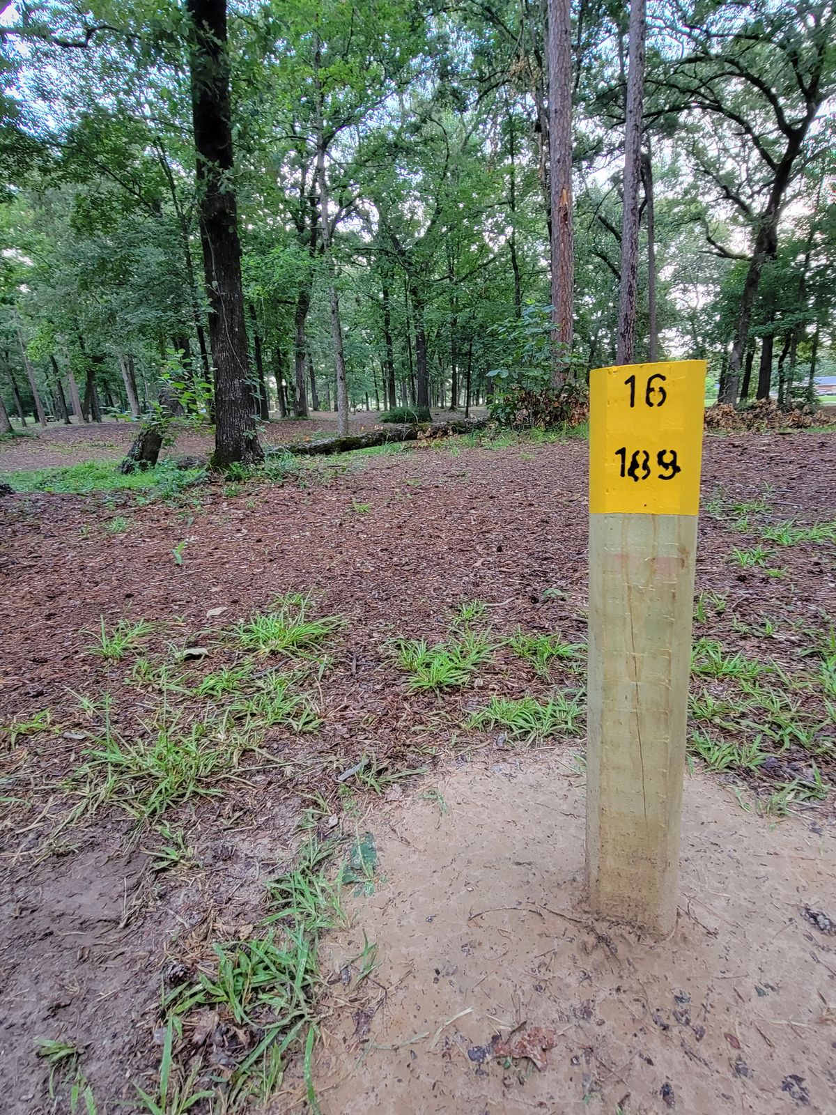16th tee