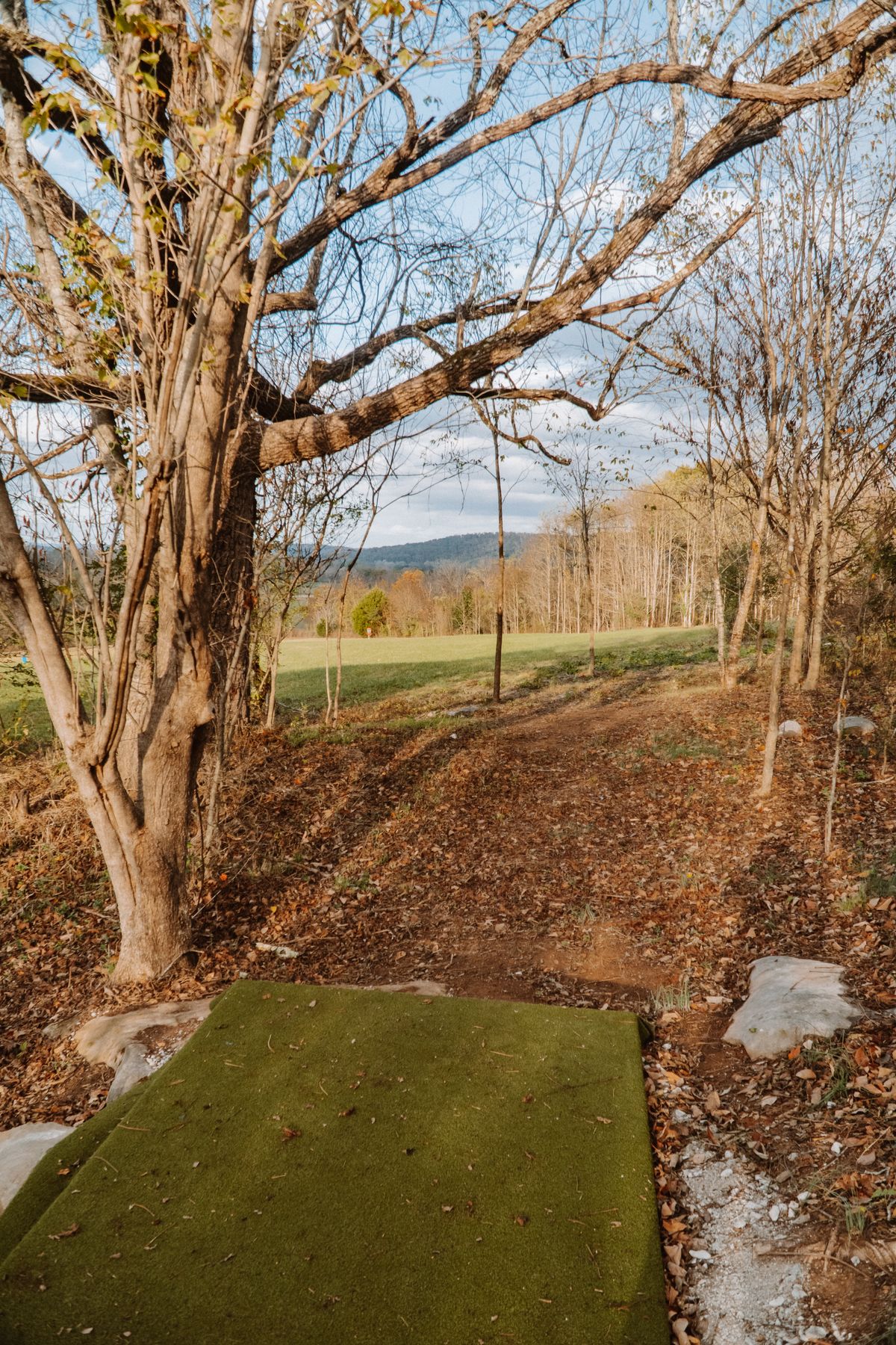 Tee Pad