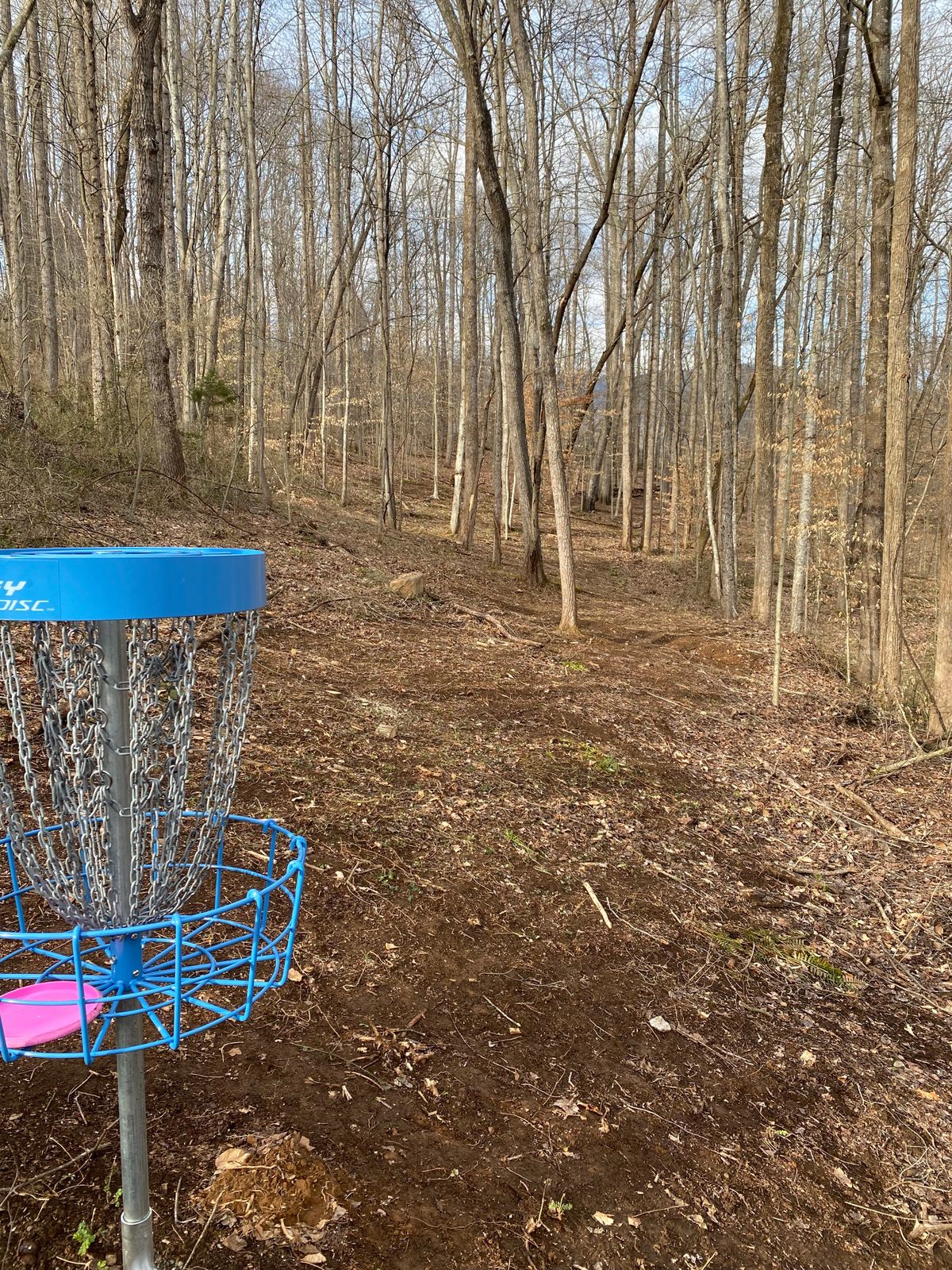 Hole 11