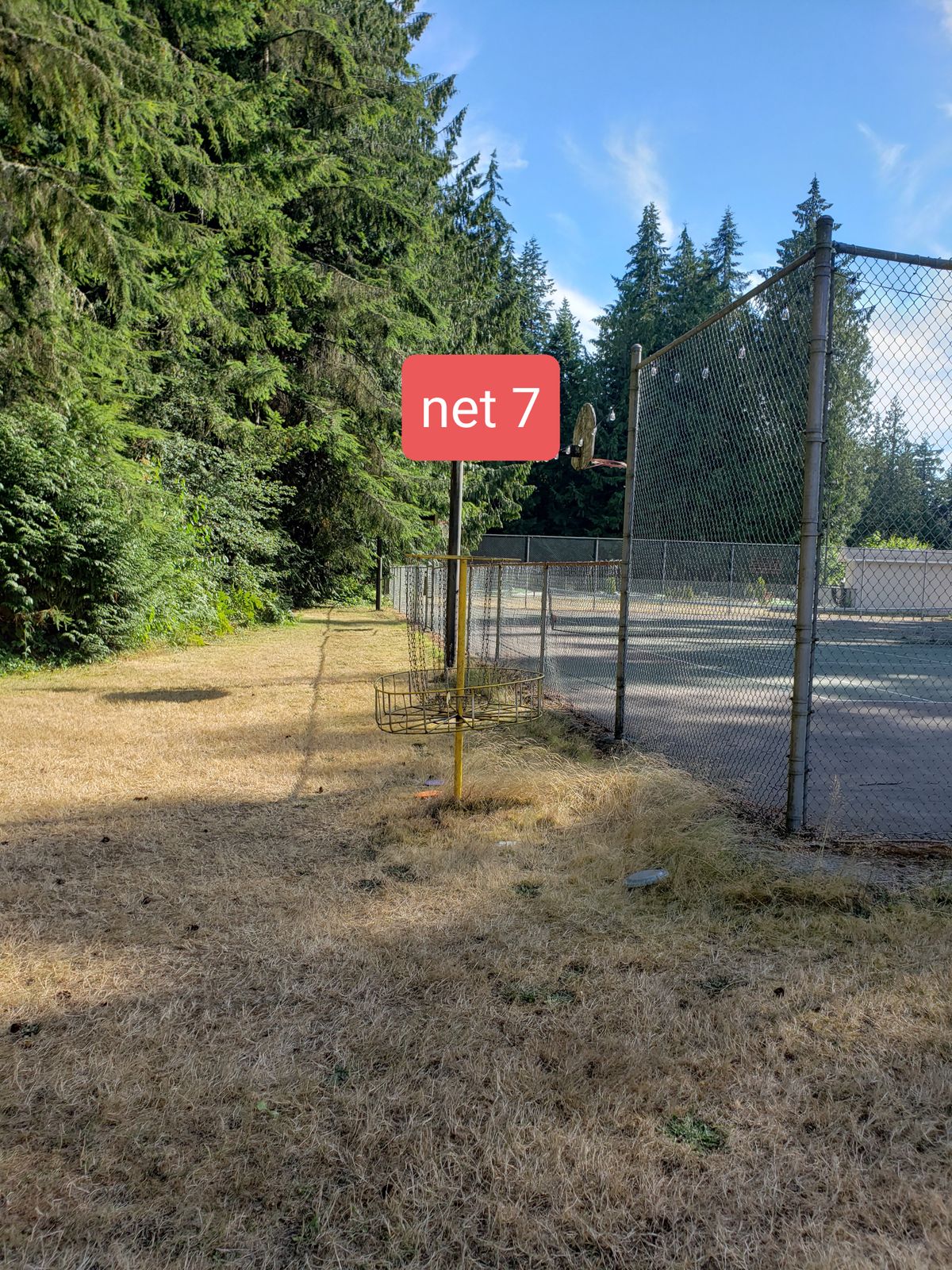 Net 7