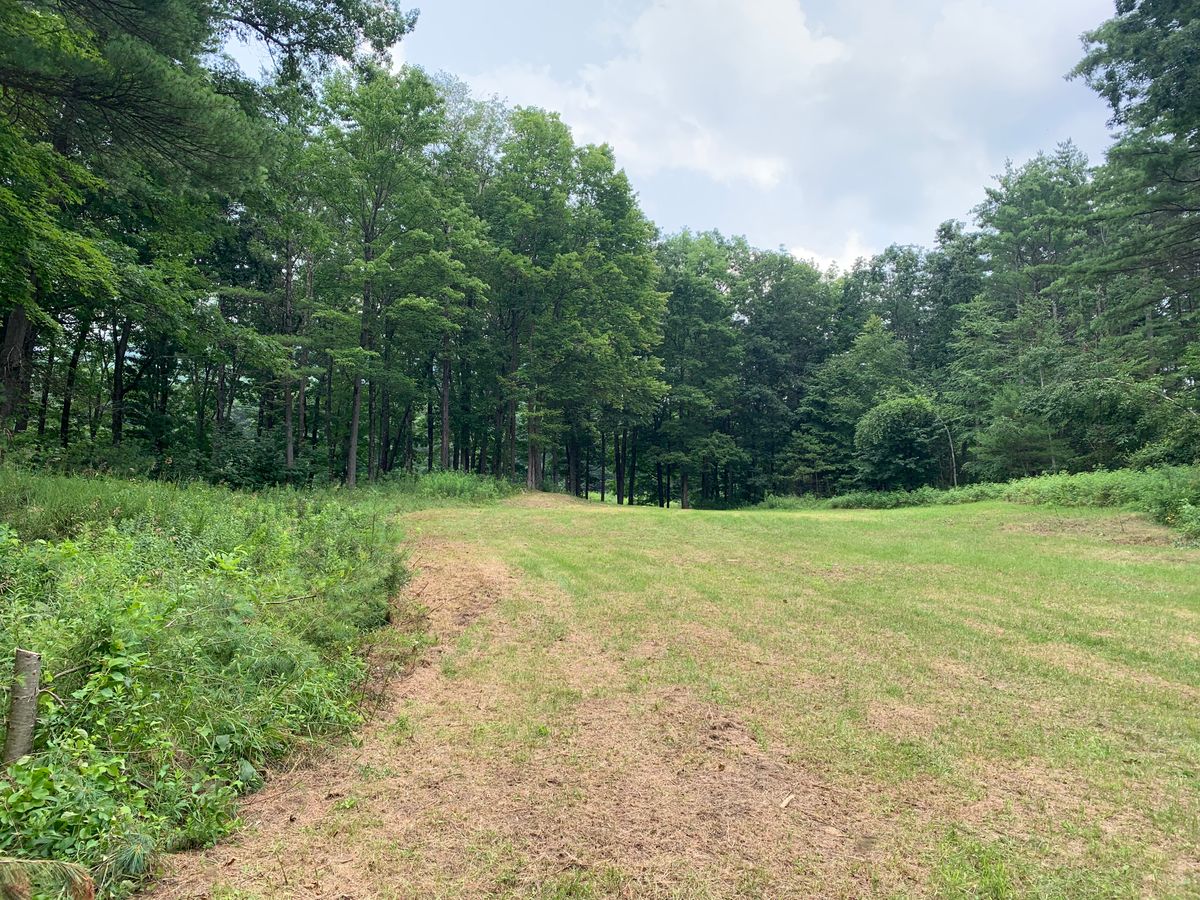 Hole 10