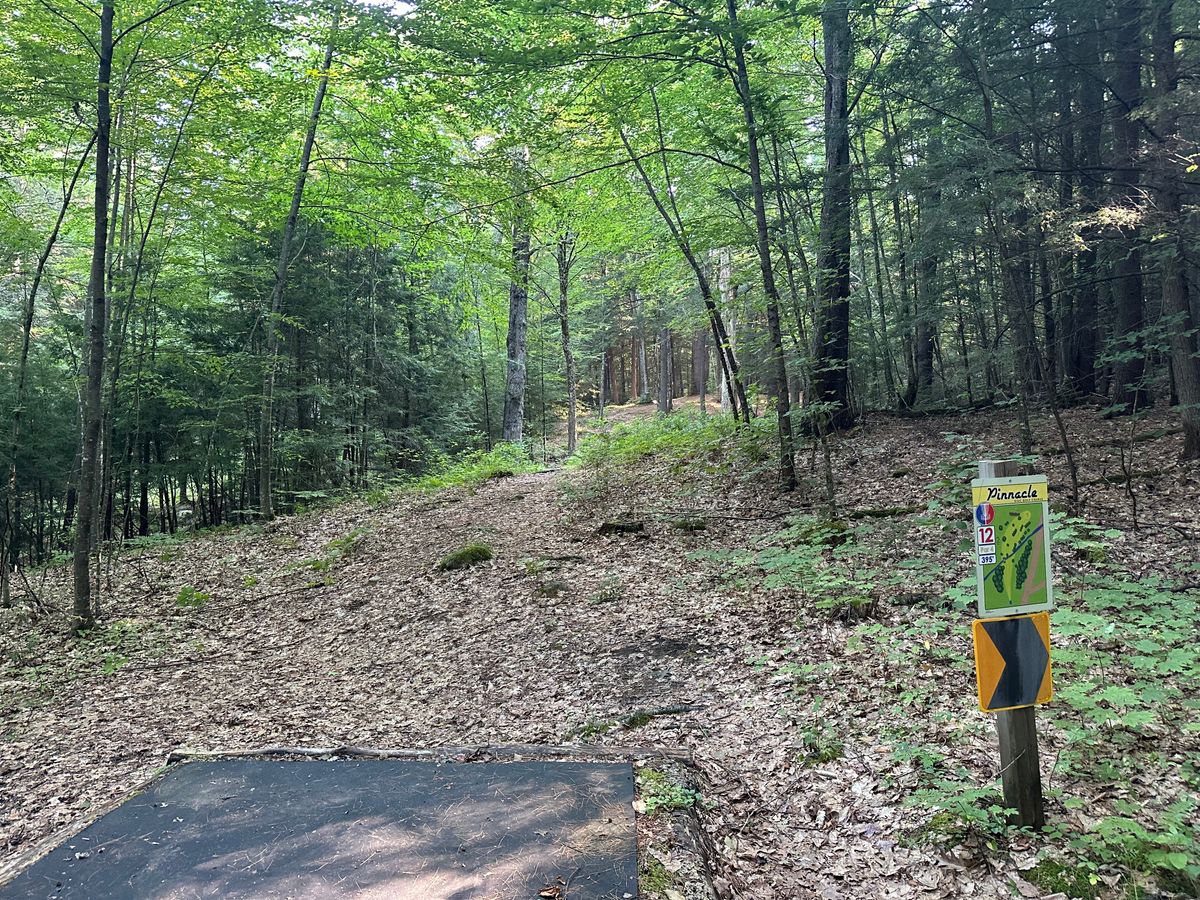 Tee pad 12