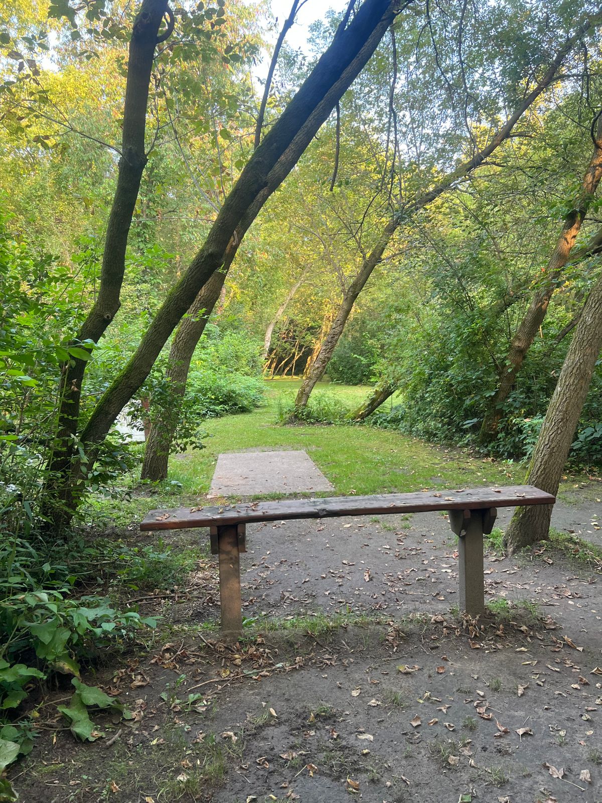 Hole 4: Tee Pad