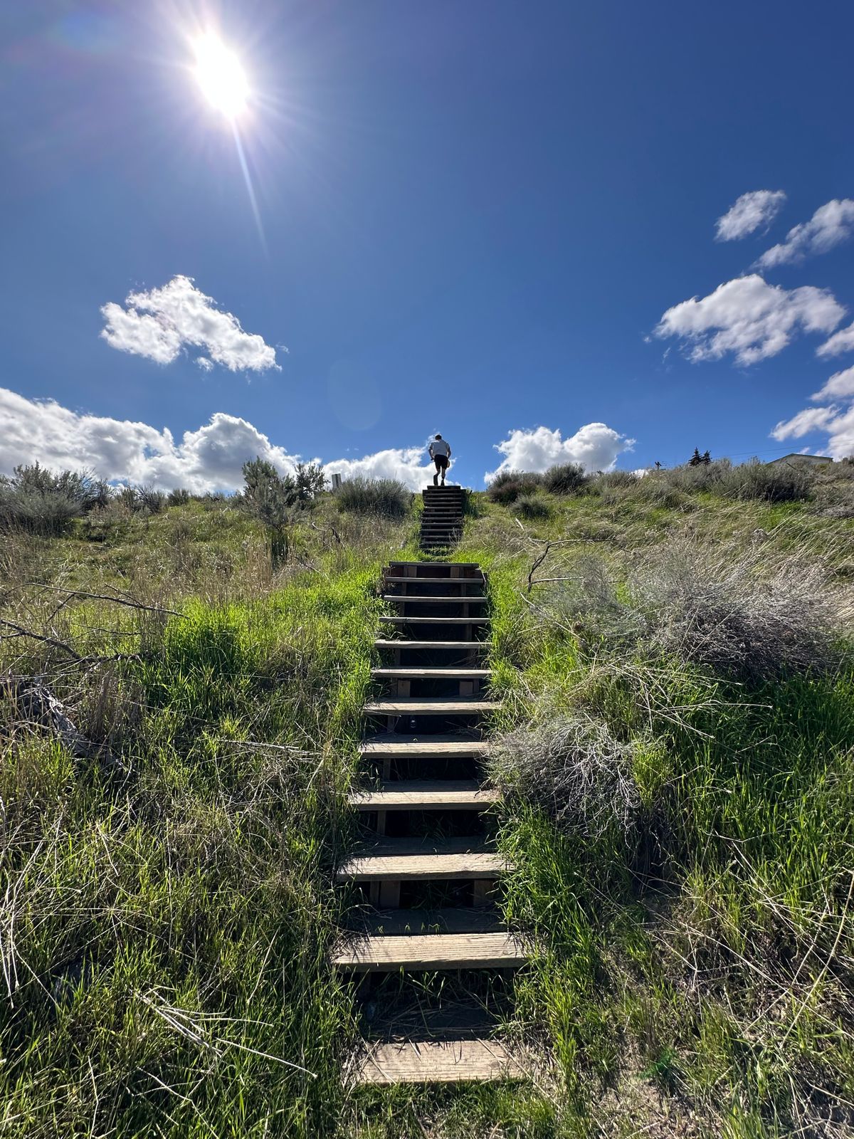 Stairs to elevated Hole 4 tee pad