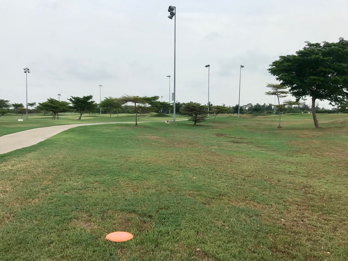 Hole 5 Fairway