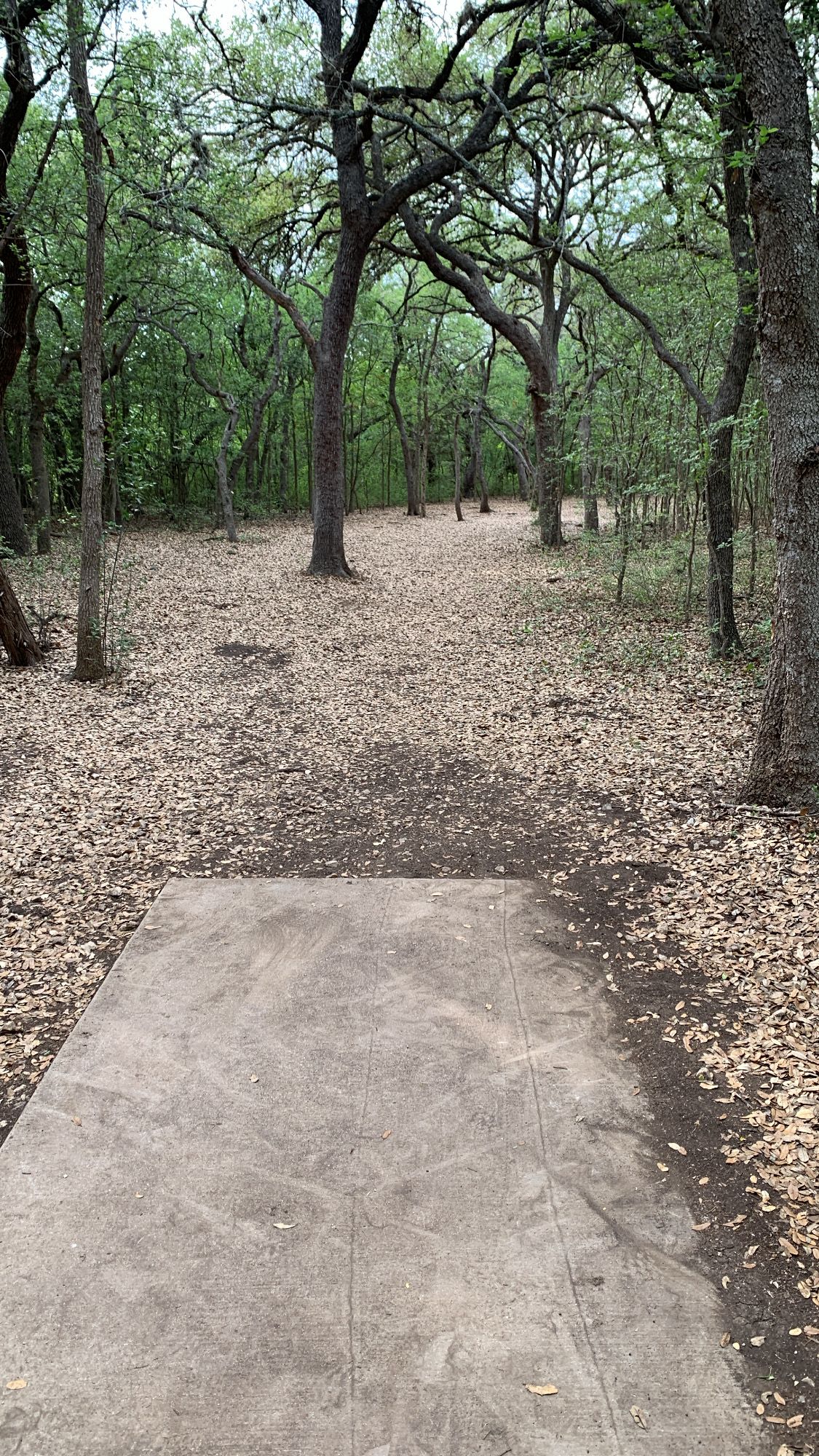 Hole 5