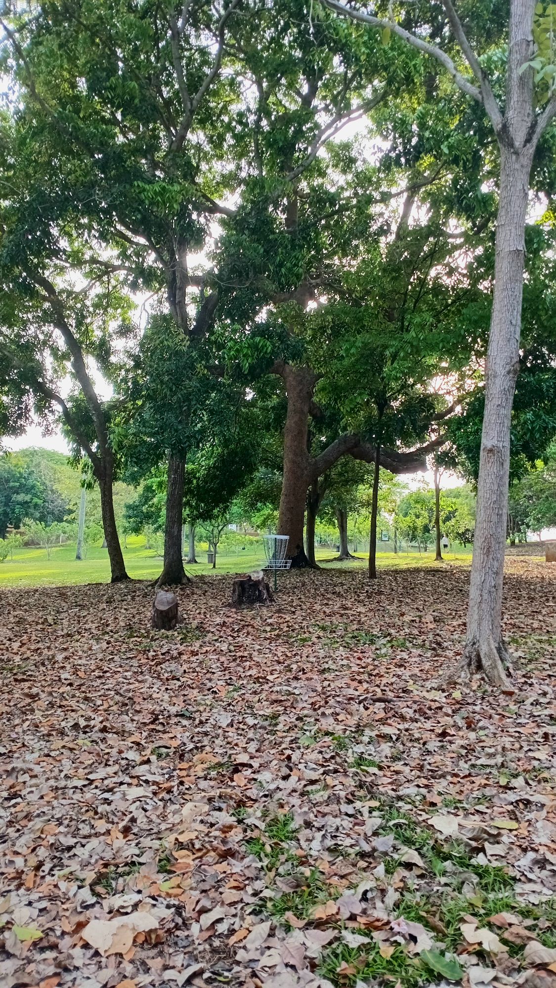 Parque Omar DG Course
Hole 3 Target