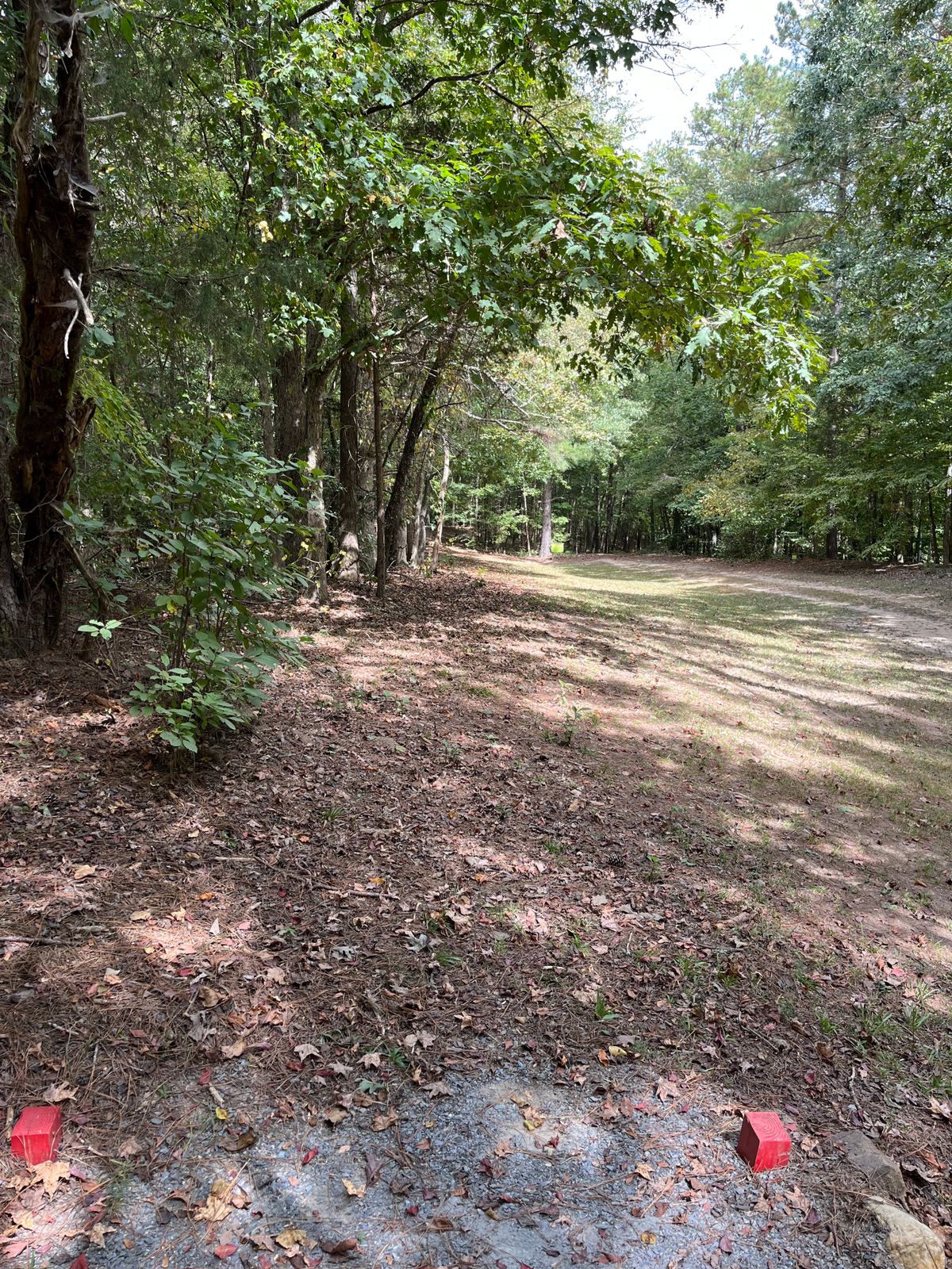 Hole 15: red tee