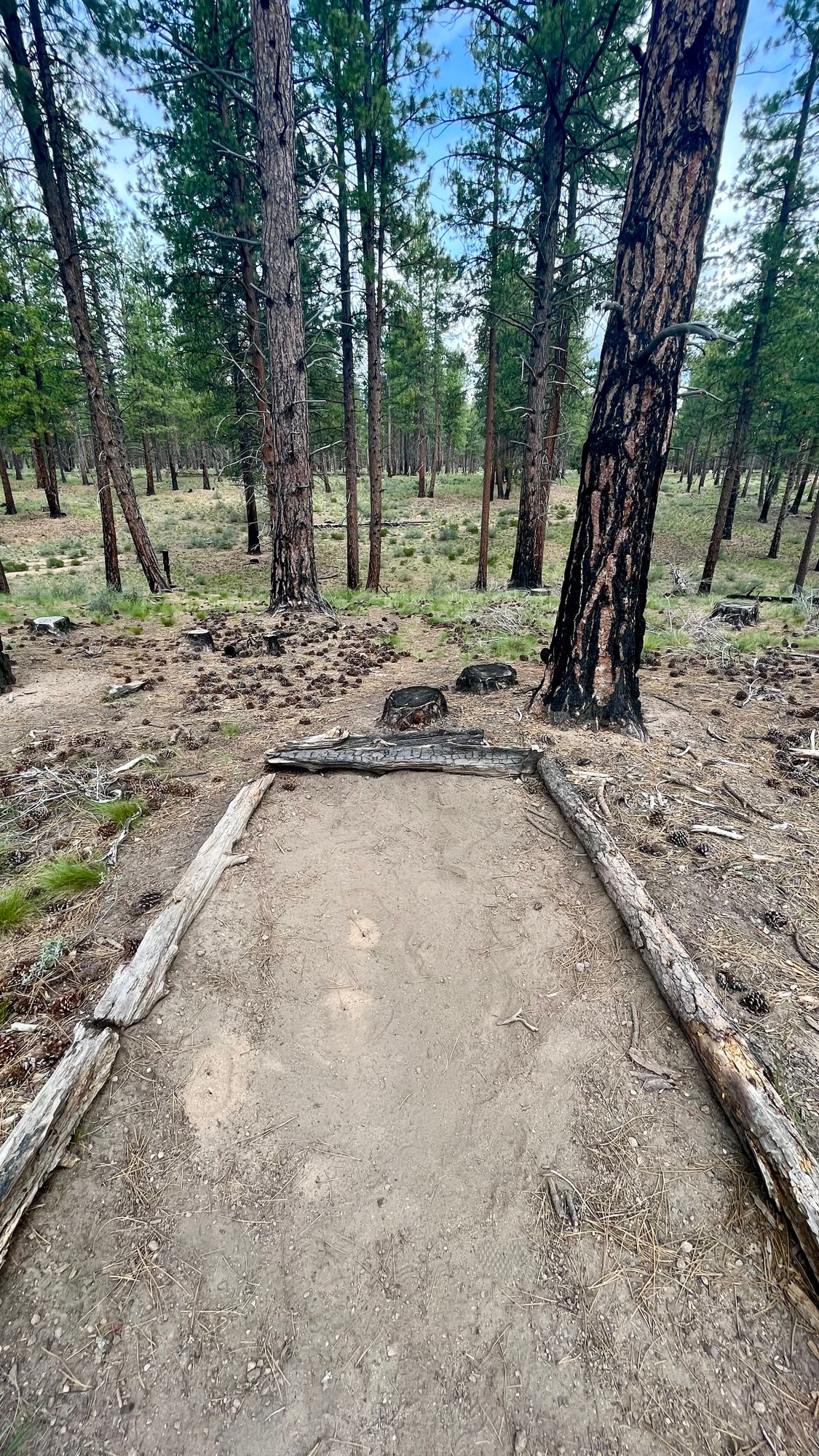Tee pad on hole 12