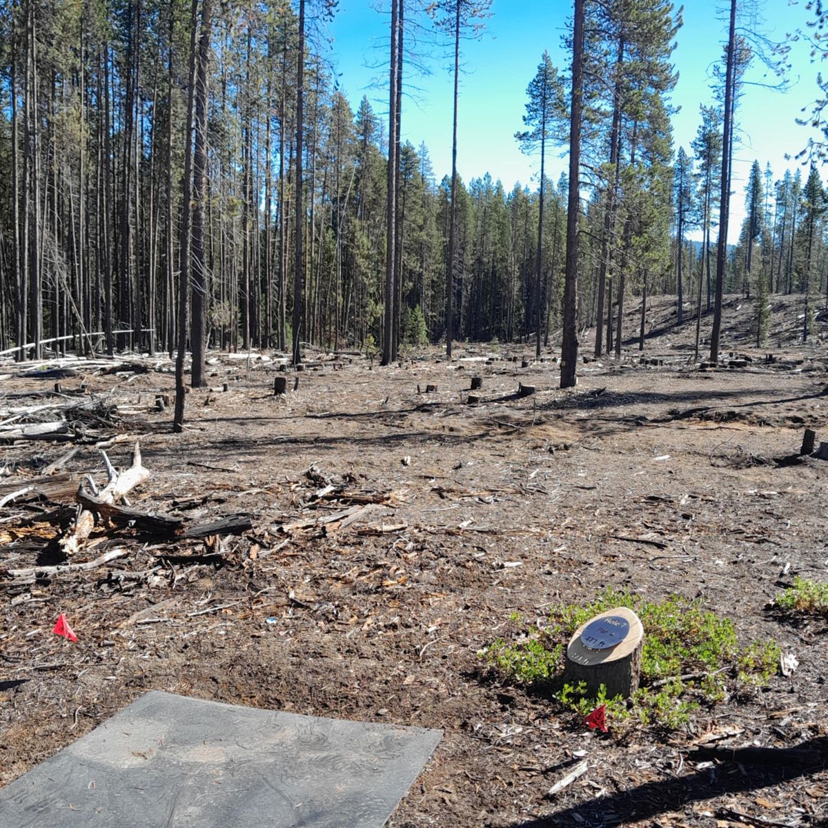 Hole 7