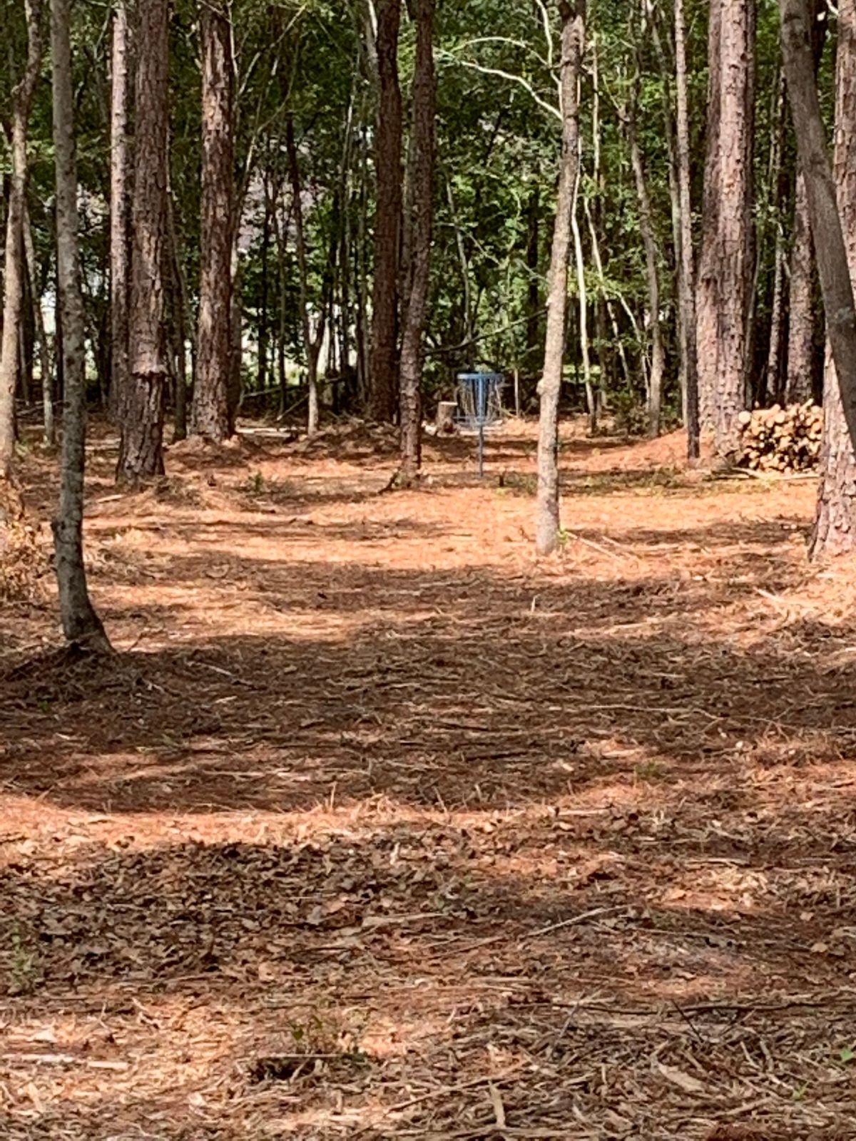 Hole 14