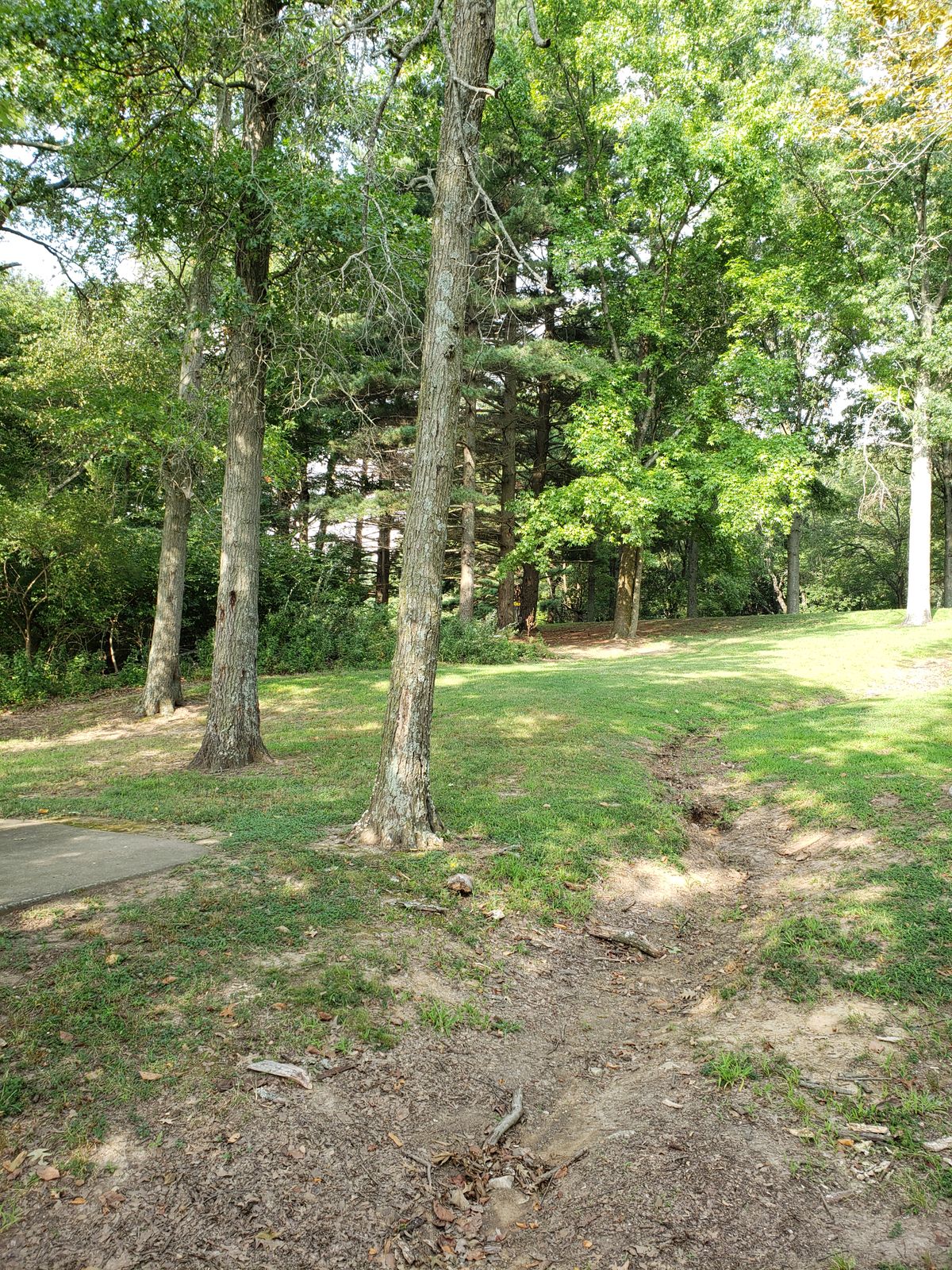 #5 Fairway,  Basket barely visible.  This hole has been ACED a few times!