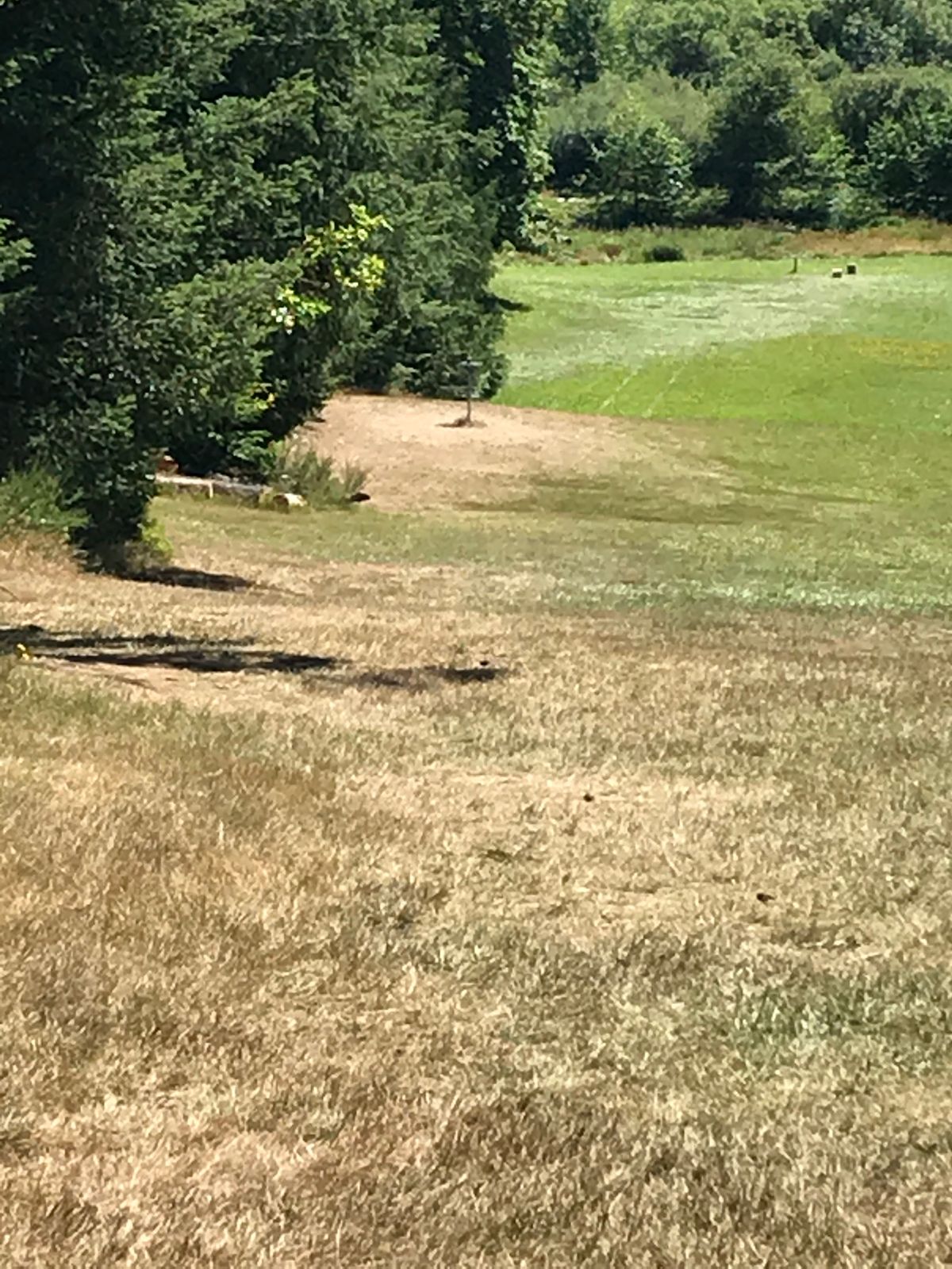 Approach on 16