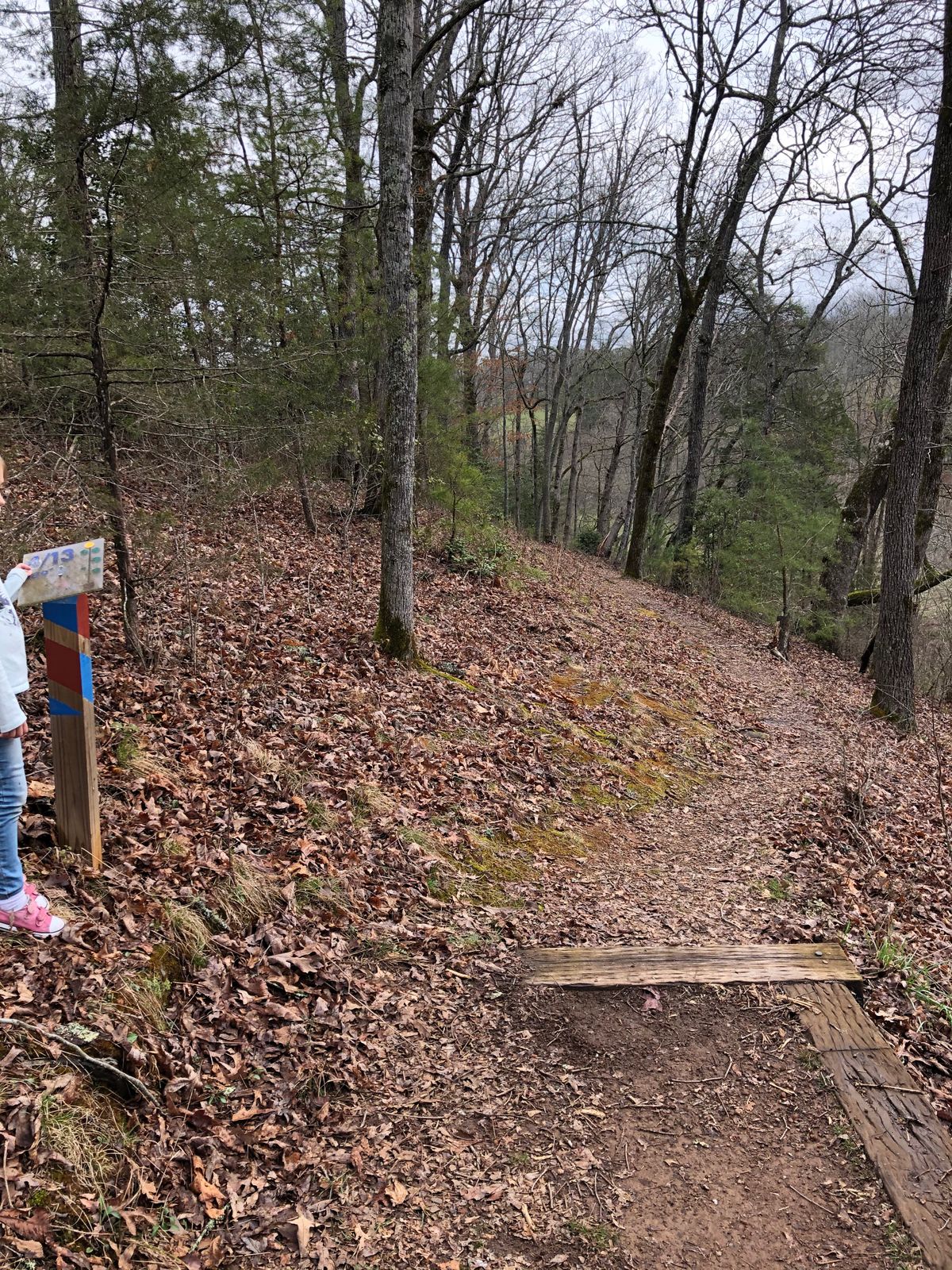Hole 4 on the side of hil