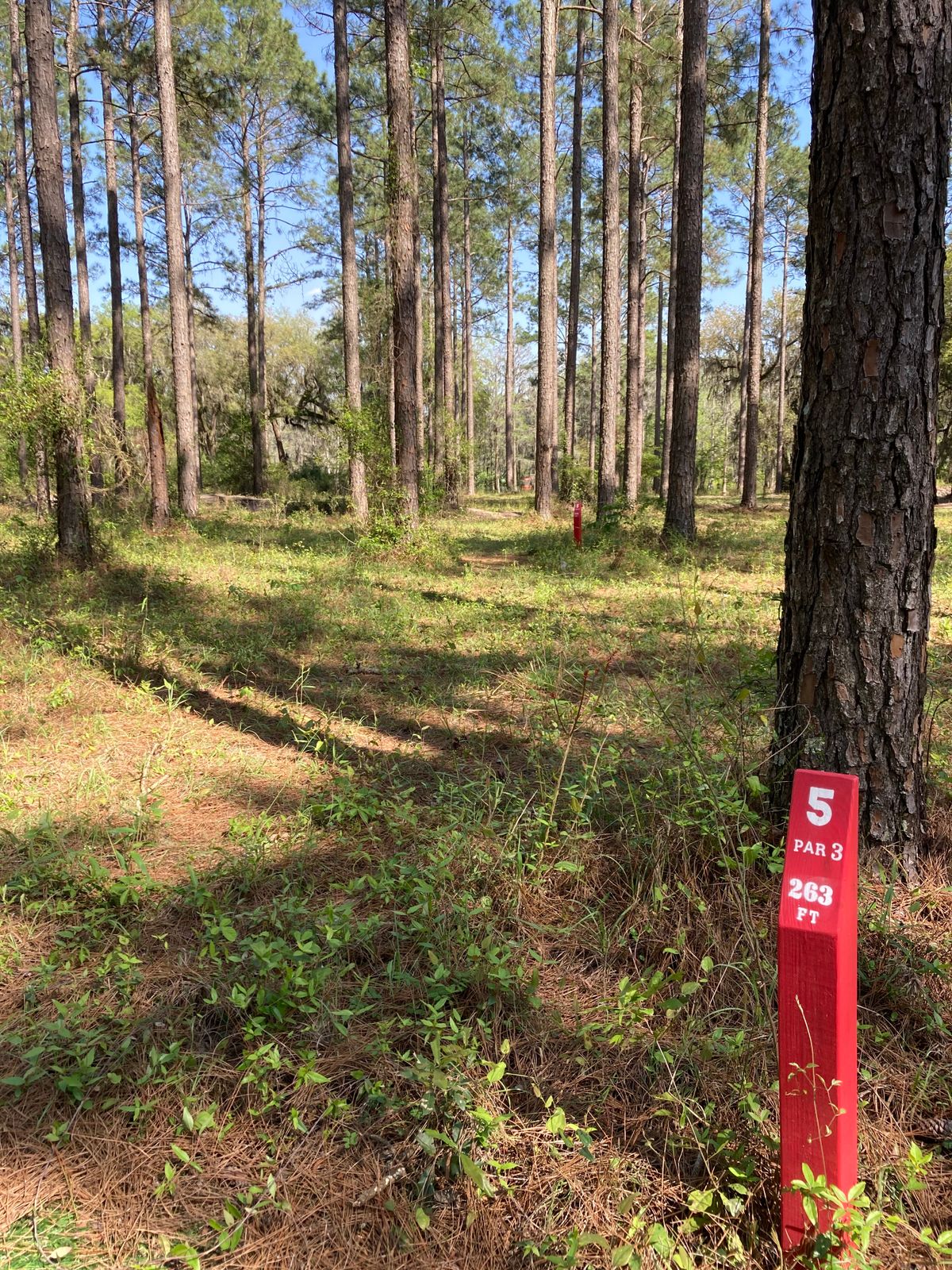 Hole 5