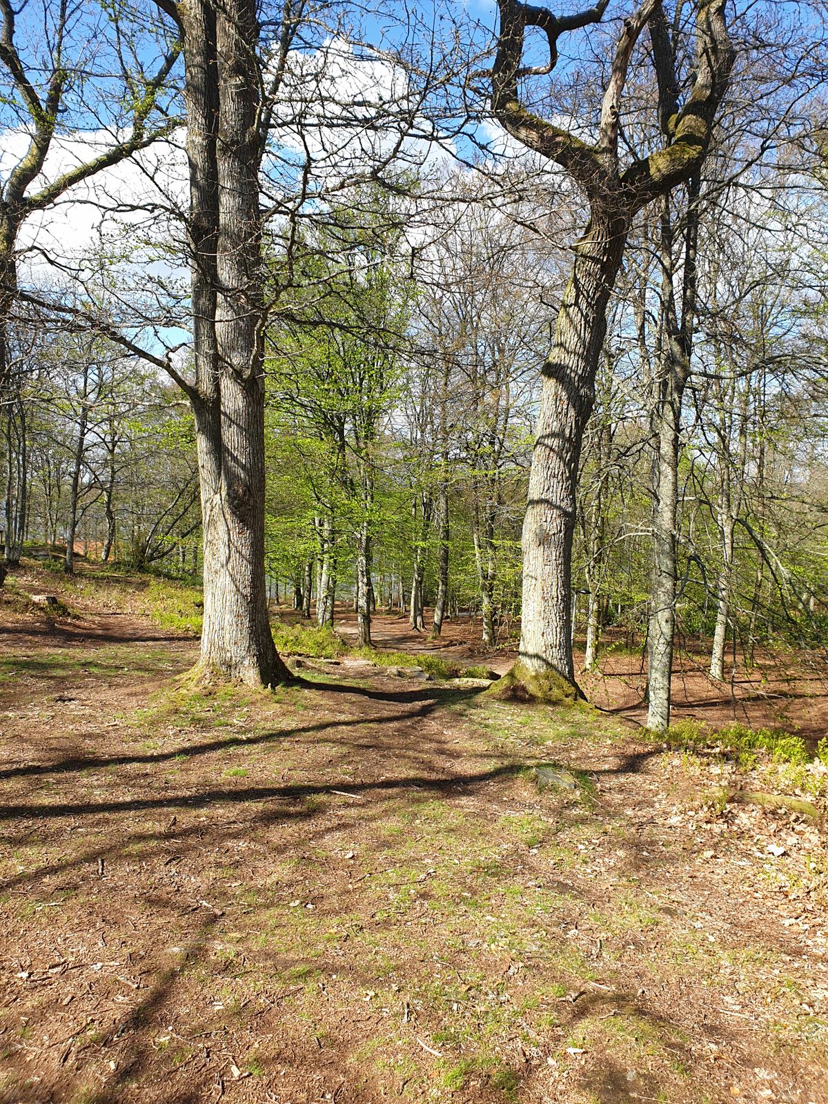 Hål 1