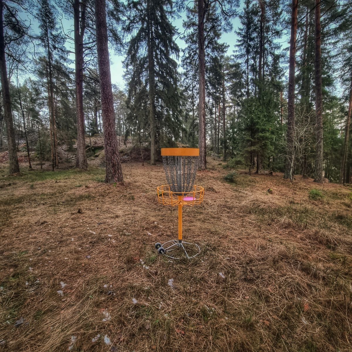 Korgen vid hål 4
