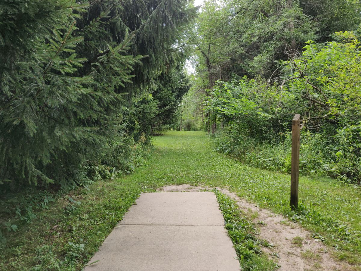 Single Tee -
Narrow tunnel turns 90° left and opens up somewhat as you approach the basket.
