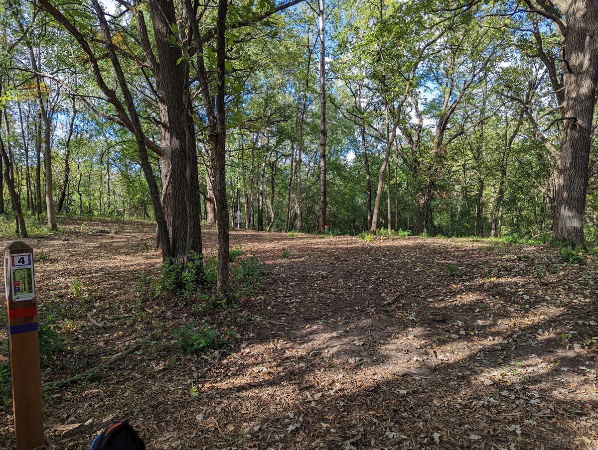 Hole 4 red/purple tee.