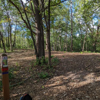 Hole 4 red/purple tee.
