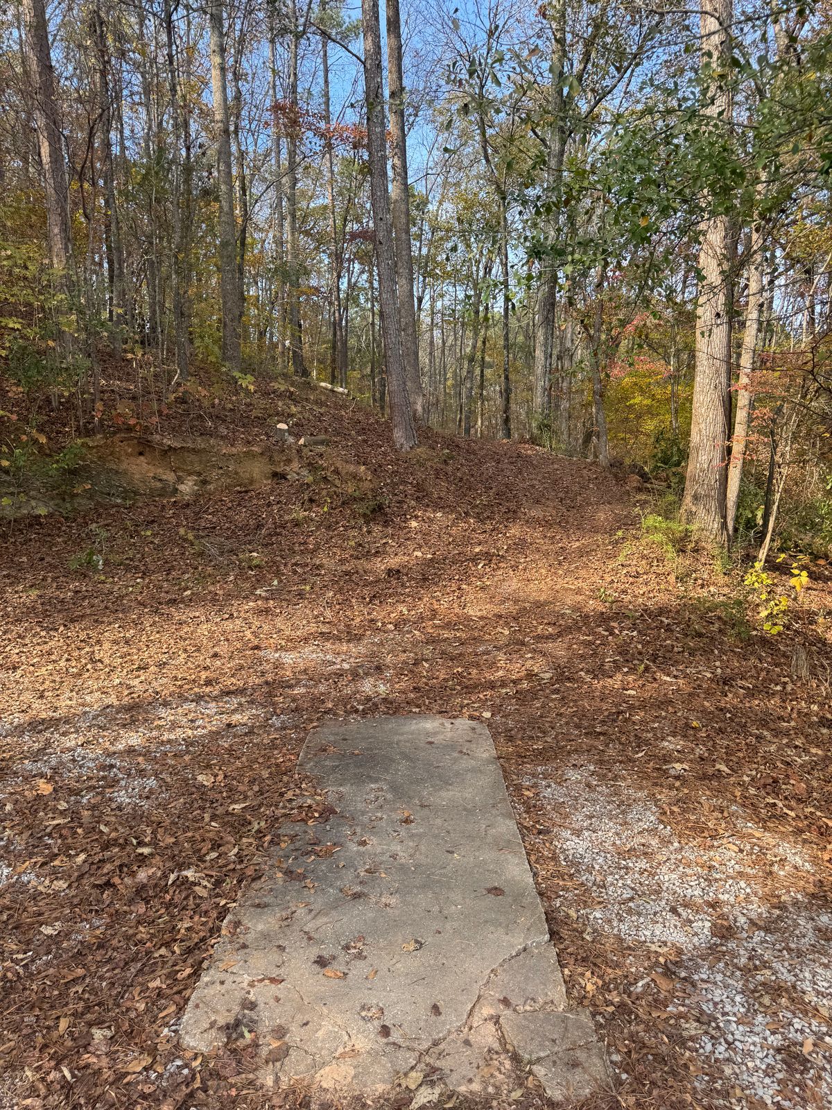 Hole 2 Teepad