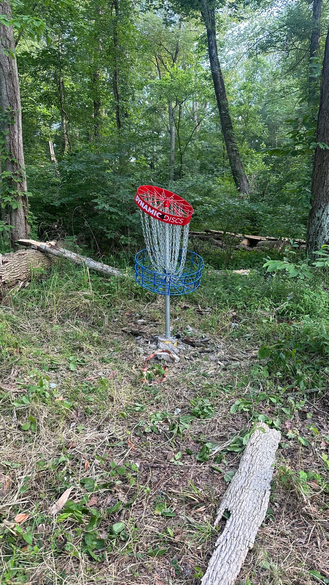 Hole 4 basket
Tree fell on it
Will update