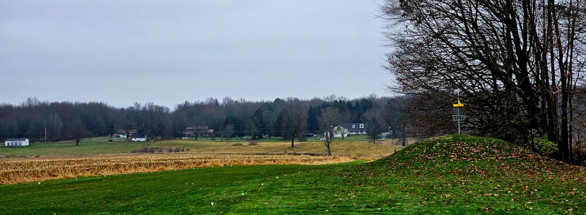 Turtleback Green with a country view