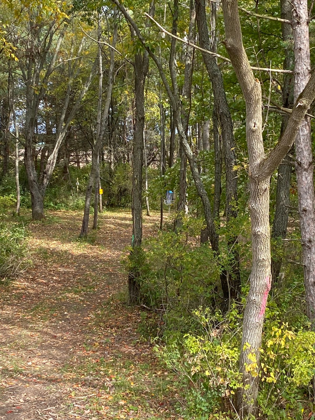 Hole 2 Basket from Edge of Pad