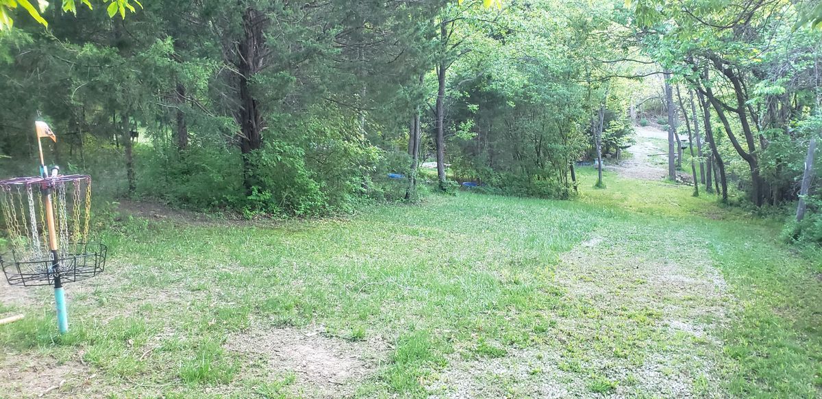 Hole 4 a lowered for the skip ace