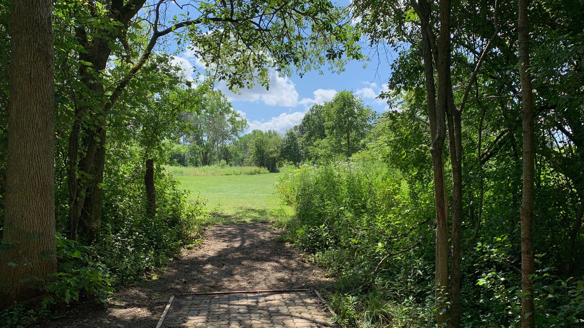 Hole 15