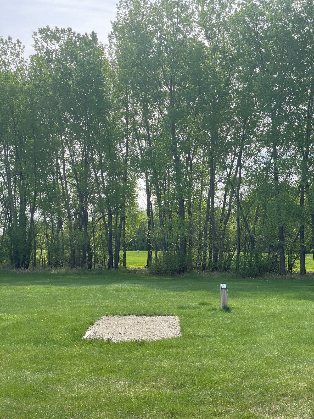 Hole 7 tee super fun tunnel shot