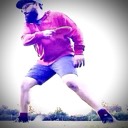 wildisc